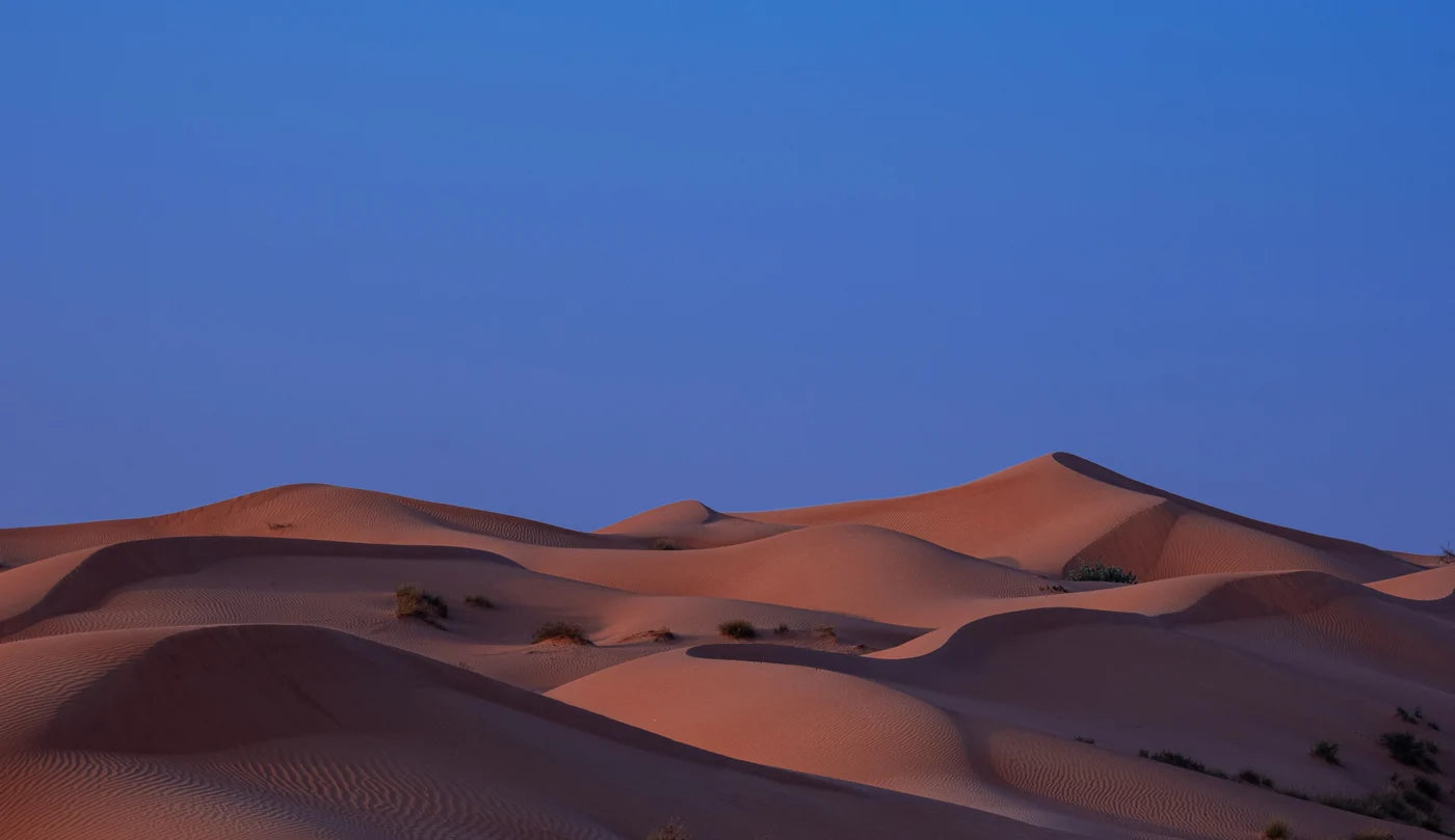 The Arabian Tent — The feeling